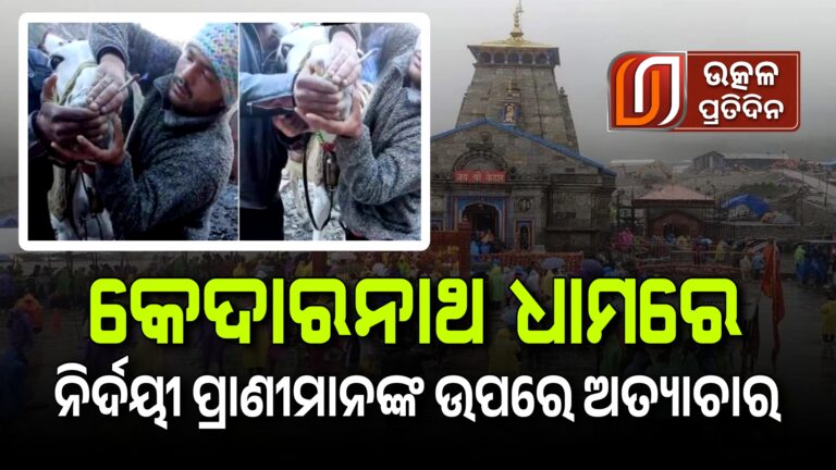 23-07-04_11-15-56-901