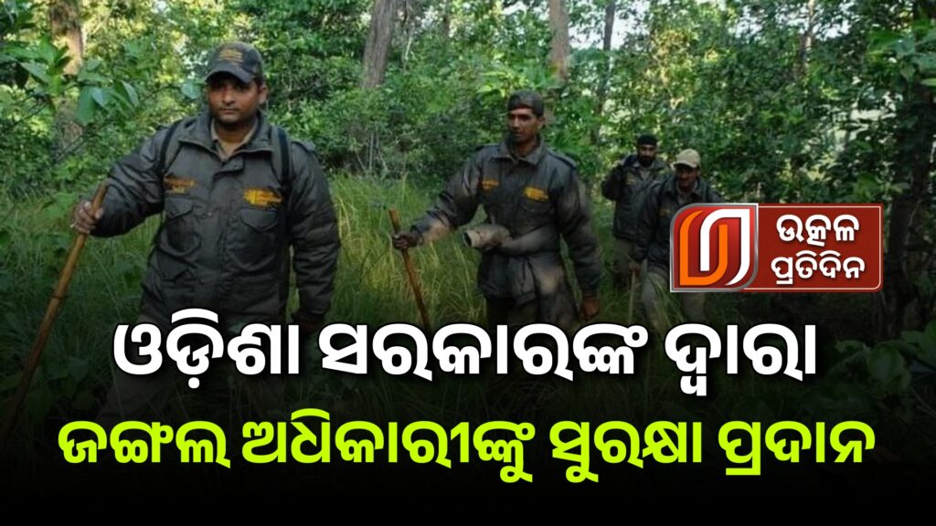 23-07-06_13-11-38-012