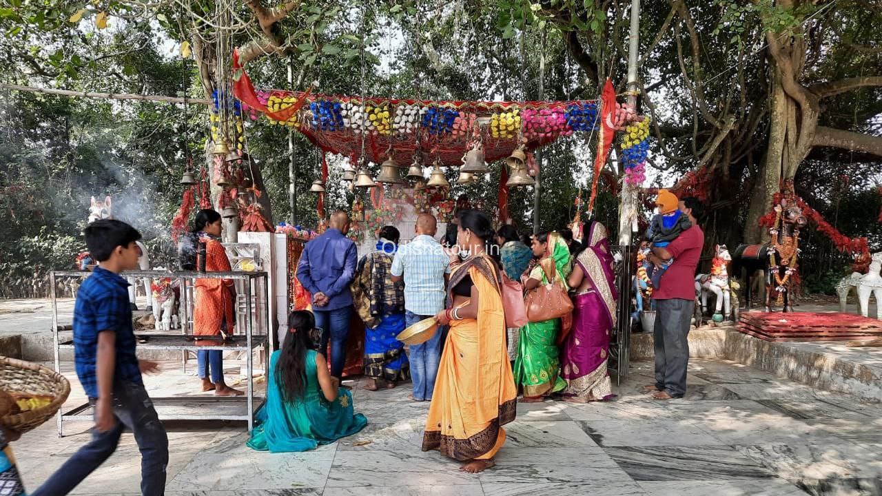 photo_6201656918720760663_y