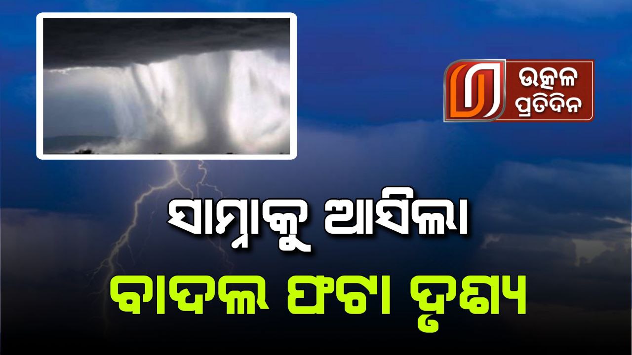 photo_6208629287024702944_y-1