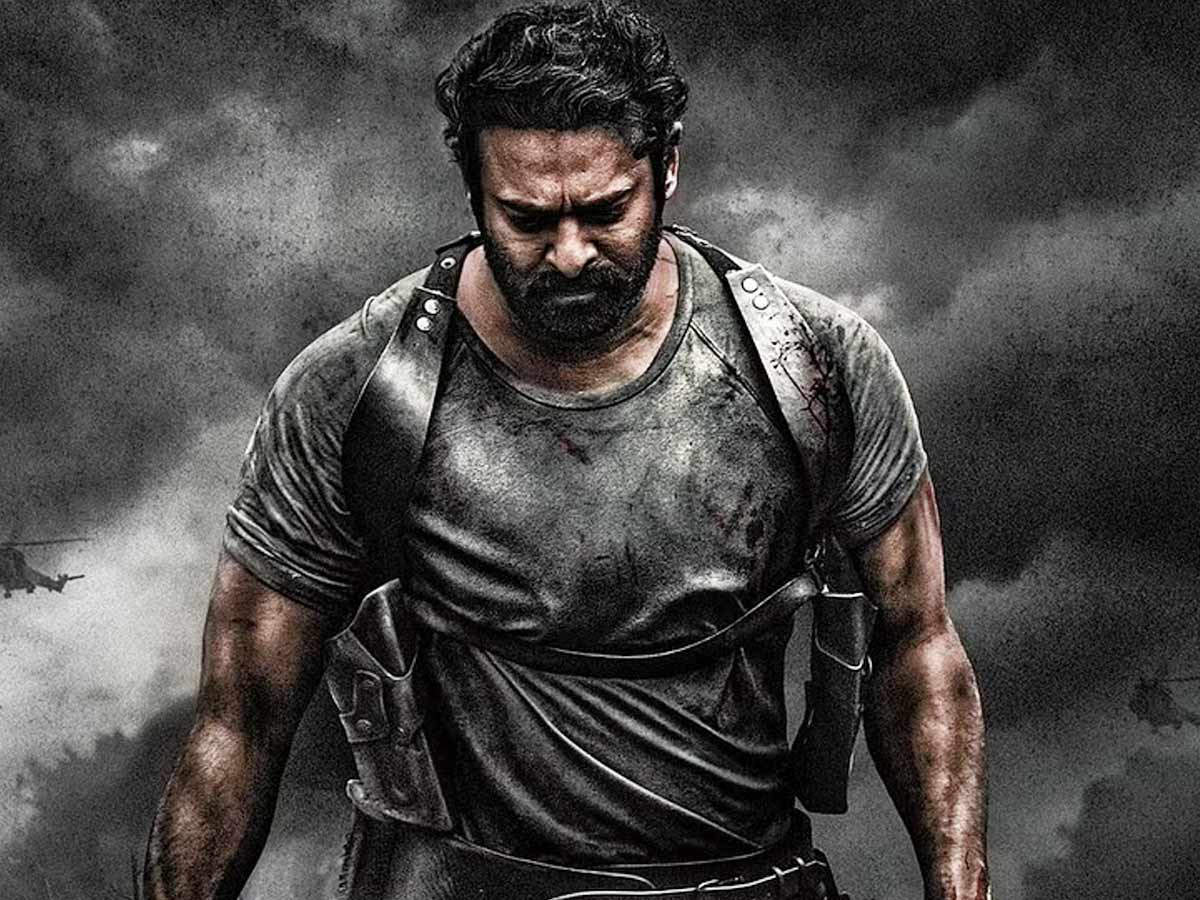 WhatsApp Image 2023-08-27 at 15.13.46