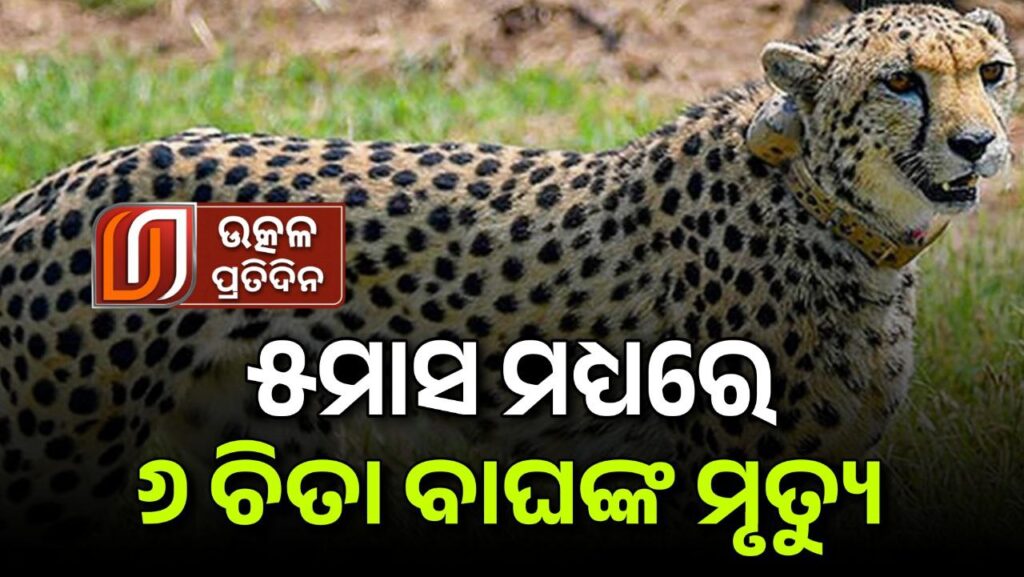 photo_6219823758504474178_y