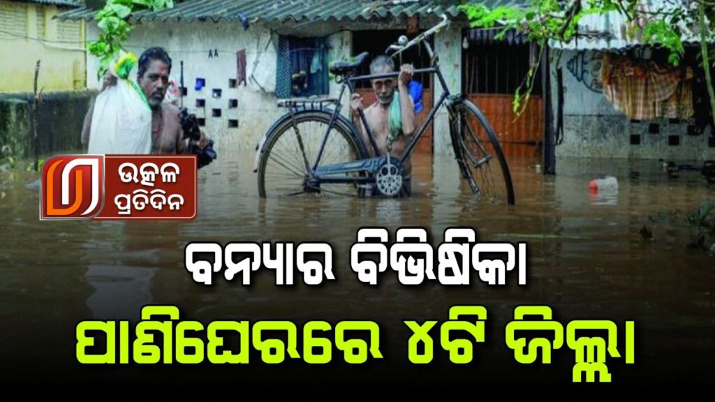 photo_6226533047176639627_y