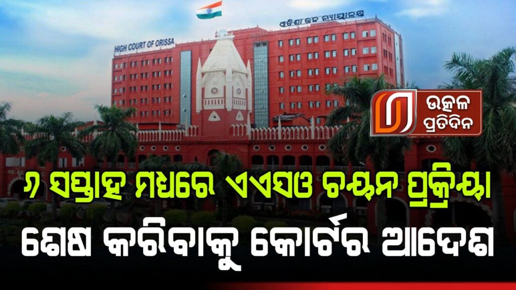 photo_6226533047176639816_y