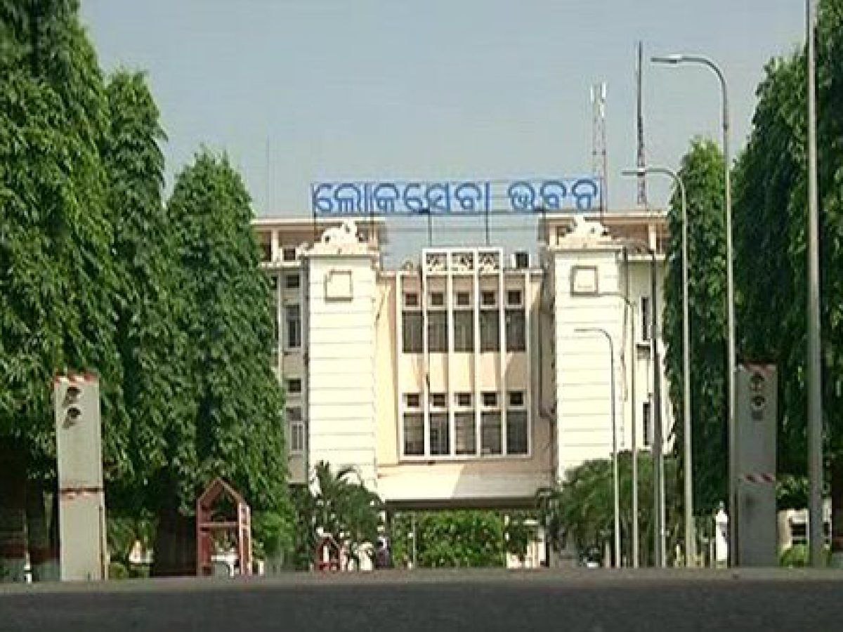 photo_6244397474018082287_y