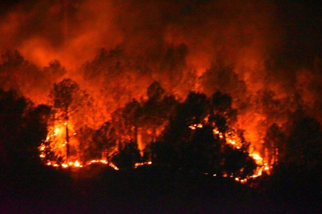 photo_6244397474018082315_y