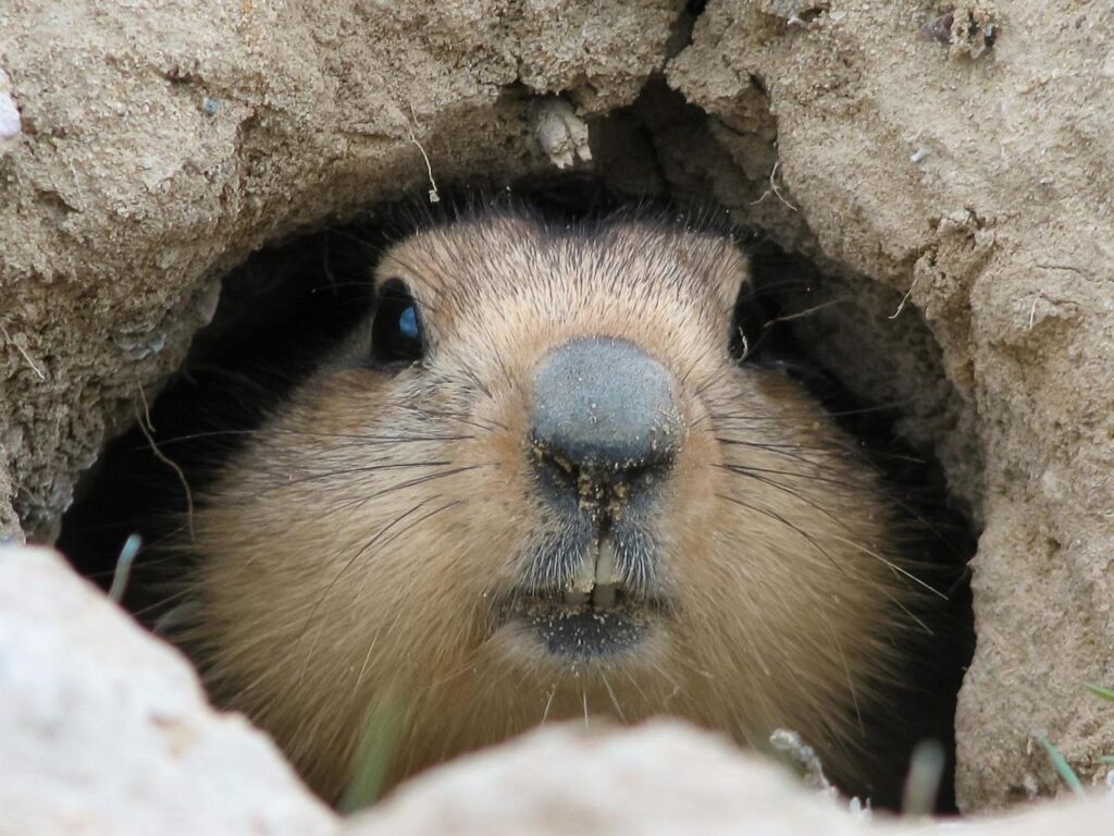 photo_6255557482680268984_y