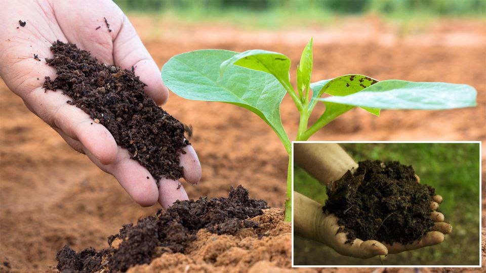 photo_6255557482680269144_y