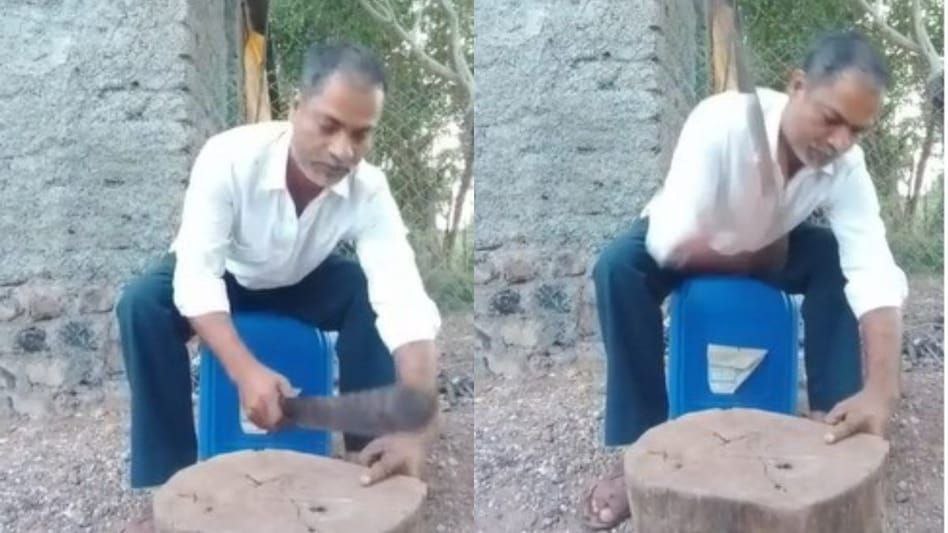 photo_6269098118700184927_y