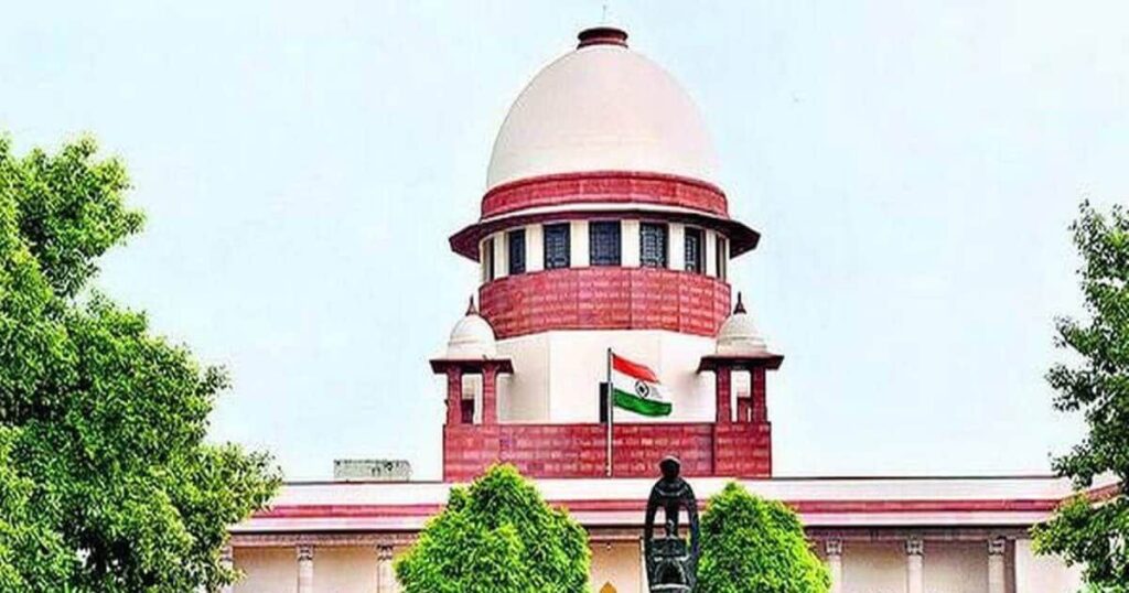 photo_6285101841154946839_y