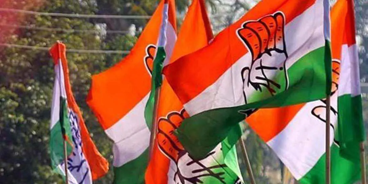 Congress-flags-1