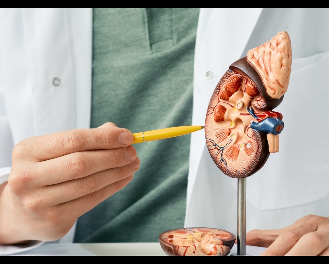 Screenshot_20230913_073645_WhatsApp