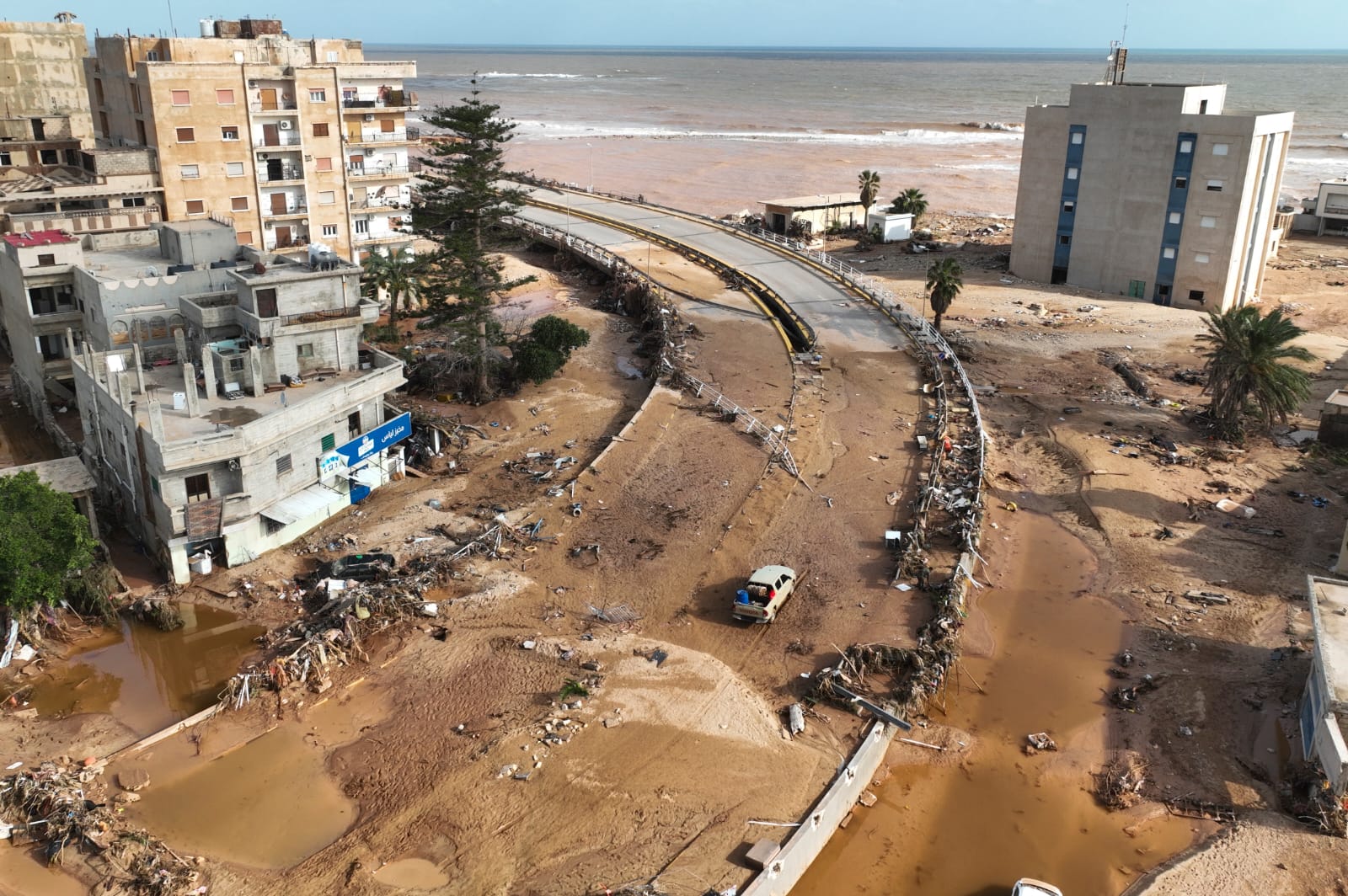 WhatsApp Image 2023-09-13 at 9.50.33 AM