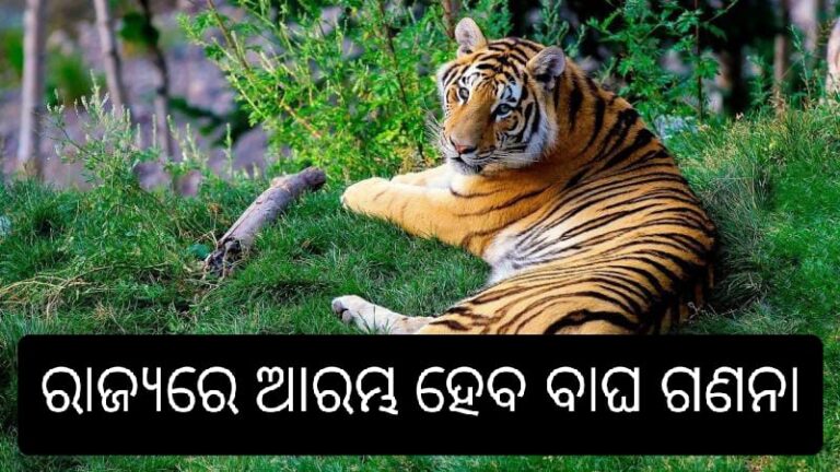 WhatsApp Image 2023-09-15 at 2.53.25 PM