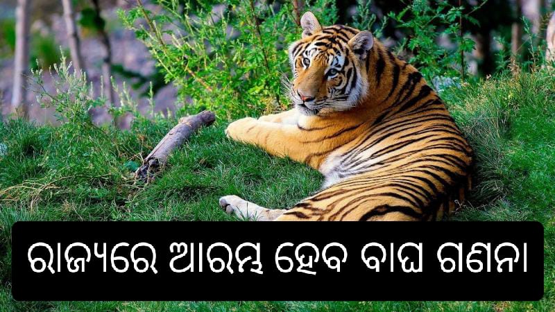 WhatsApp Image 2023-09-15 at 2.53.25 PM