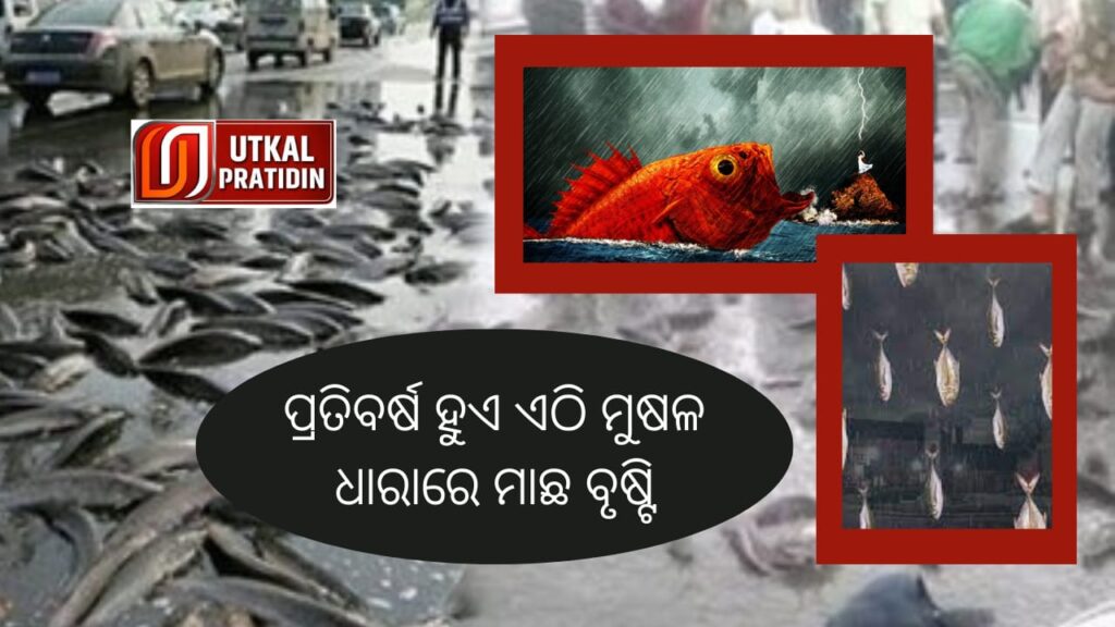 WhatsApp Image 2023-09-29 at 1.48.08 PM (1)