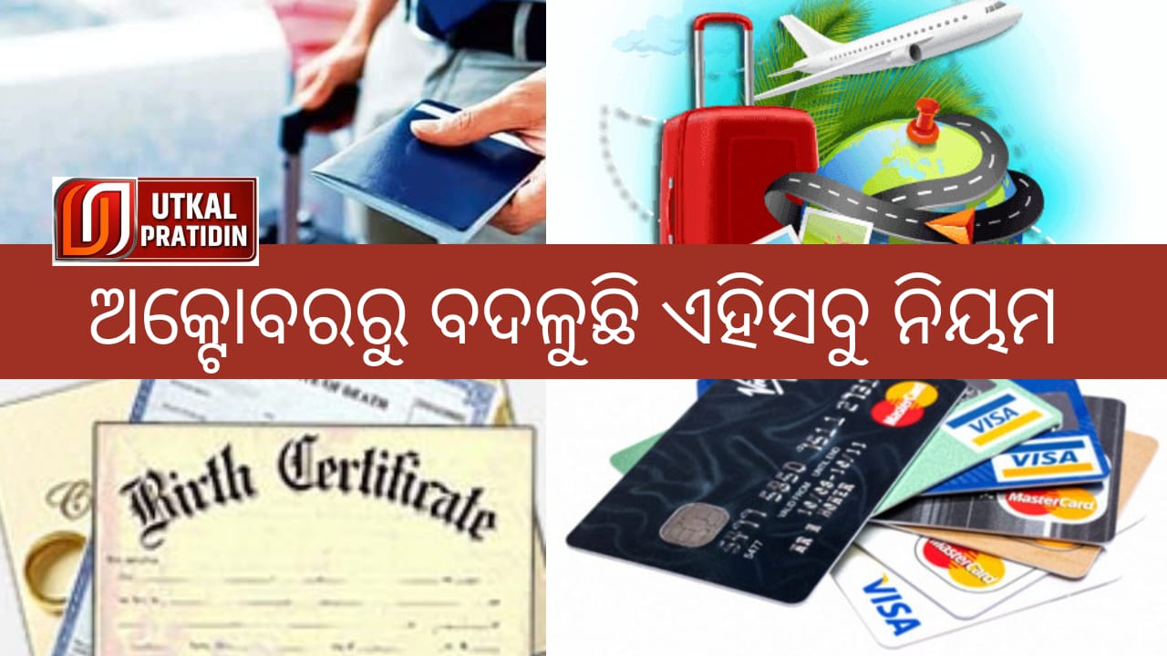 WhatsApp Image 2023-10-01 at 12.16.07 PM