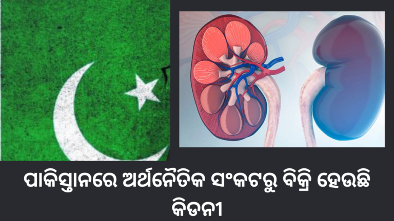 ପାକିସ୍ତାନରେ ଅର୍ଥନୈତିକ ସଂକଟରୁ ବିକ୍ରି ହେଉଛି କିଡନୀ_20231003_165332_0000