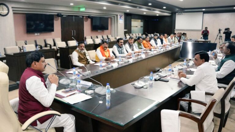 mohan-cabinet-1