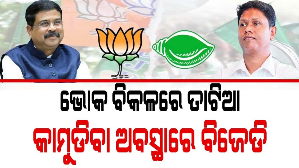 WhatsApp Image 2024-04-26 at 5.10.31 PM