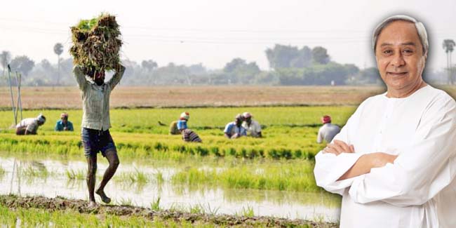 11Naveen-farmer