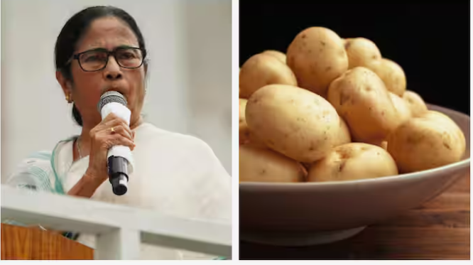 mamata-patato