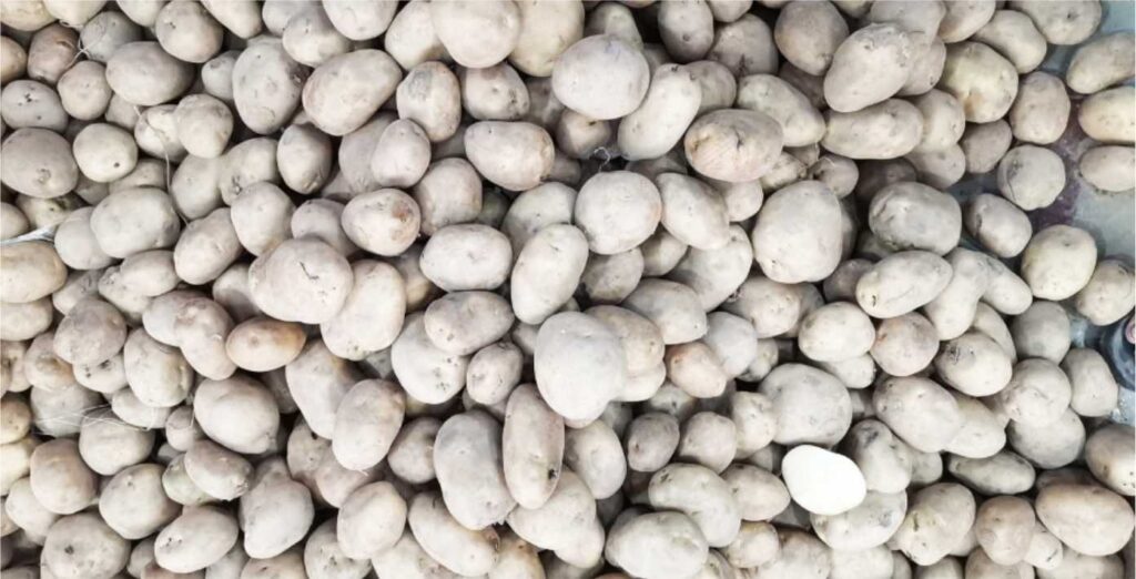 0de7e13b1a472fd5485afdfeeea8d75d_1