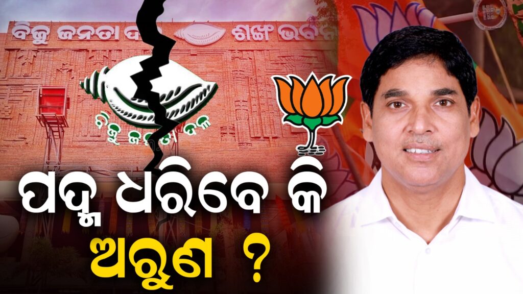 WhatsApp Image 2024-08-05 at 17.19.44