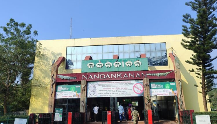 nandan-750x430