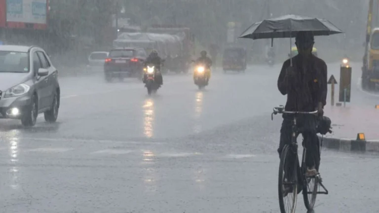 rain_(1)