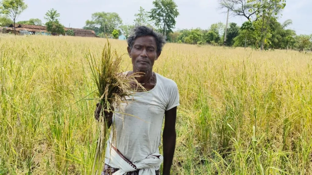 6fe189019a92889db9b69e6f20edc08beb1c744bd58c4c7bf96b4fd8356ff616