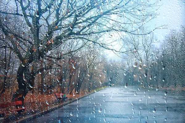 depositphotos_495713758-stock-photo-rain-background-autumn-landscape-park