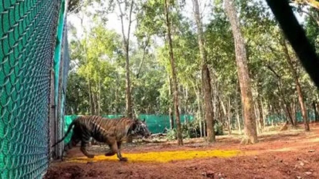 ff315360dc842b25c1d9d0cbc23fba8e134b839e5bf8495e625f83ea3277ca36