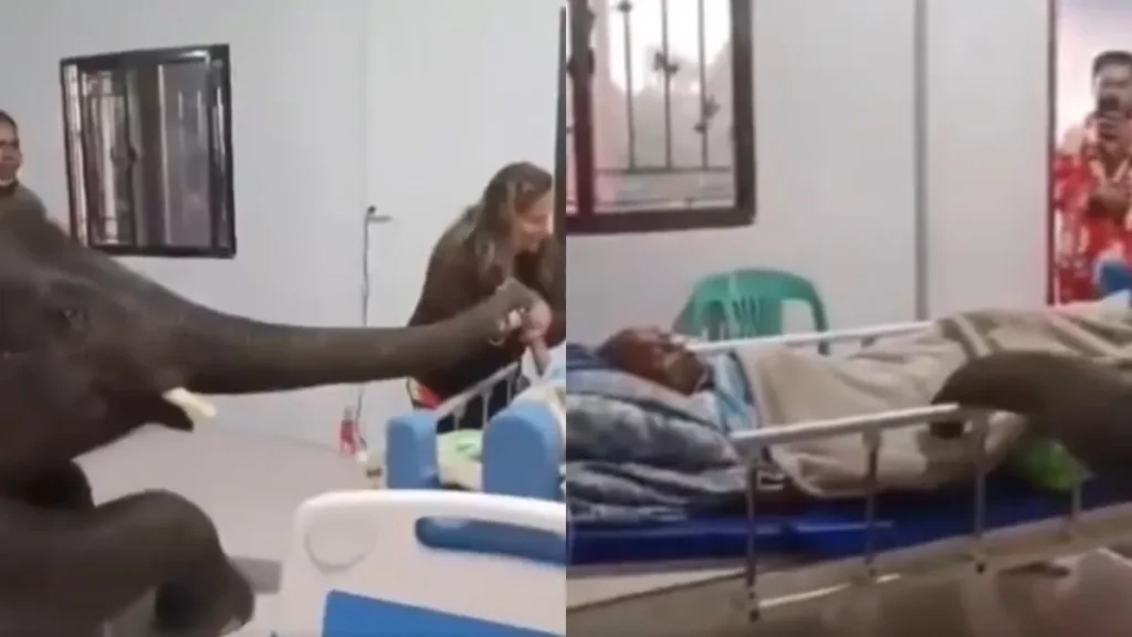 file-image-2025-02-09t173903-1739106910