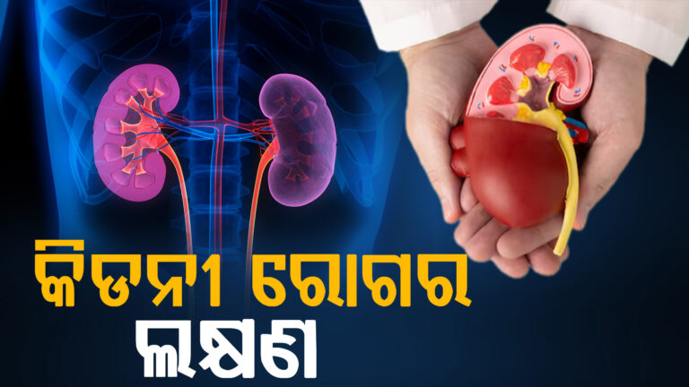 kidney