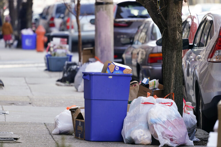 garbage-and-recyclable-2