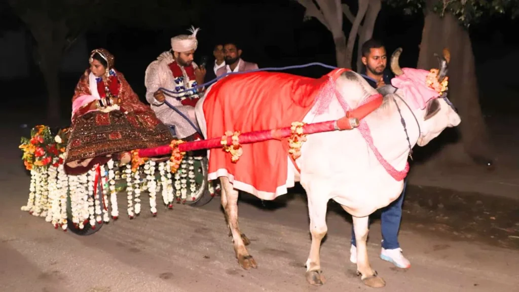 lko-2025-03-04t113727.396