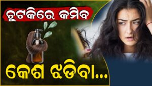 WhatsApp Image 2025-05-03 at 3.25.32 PM