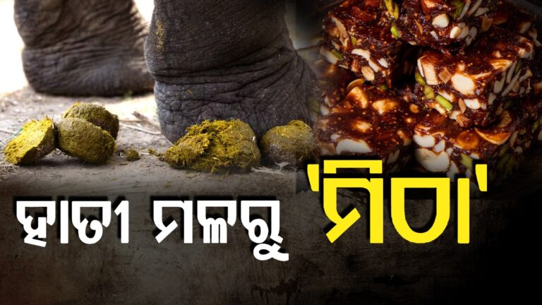 WhatsApp Image 2025-05-05 at 11.58.07 AM