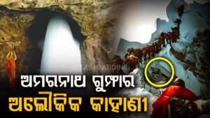 WhatsApp Image 2025-05-06 at 2.17.00 PM