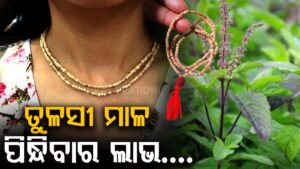 WhatsApp Image 2025-05-06 at 5.07.13 PM