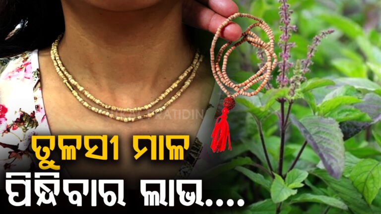 WhatsApp Image 2025-05-06 at 5.07.13 PM
