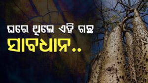 WhatsApp Image 2025-05-07 at 1.07.06 PM