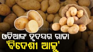 WhatsApp Image 2025-05-09 at 5.01.59 PM