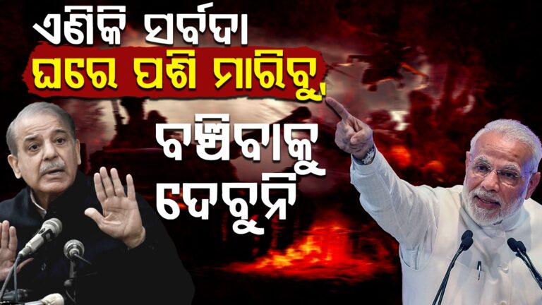 WhatsApp Image 2025-05-13 at 4.35.50 PM