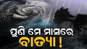 WhatsApp Image 2025-05-14 at 10.56.04 AM