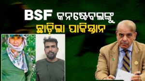 WhatsApp Image 2025-05-14 at 12.17.00 PM