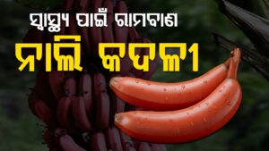 WhatsApp Image 2025-05-14 at 3.29.41 PM