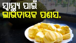 WhatsApp Image 2025-05-15 at 1.57.21 PM