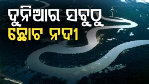 WhatsApp Image 2025-05-15 at 3.13.31 PM